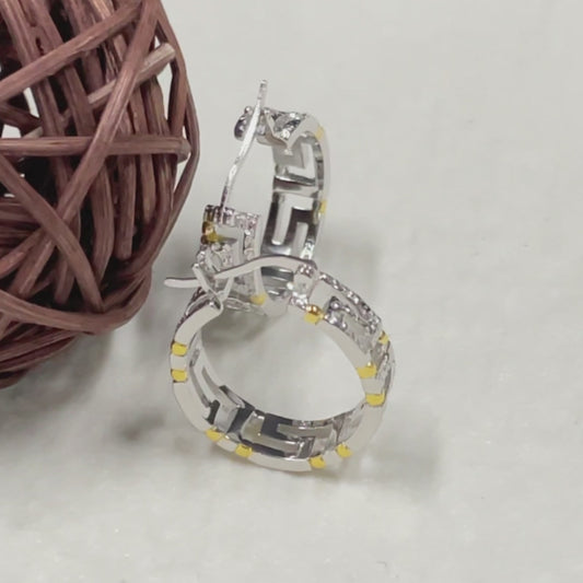 S925 Silver Golden Petal Earrings